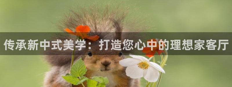 先锋娱乐集团公司