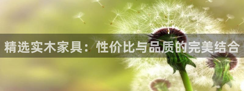 先锋娱乐传媒