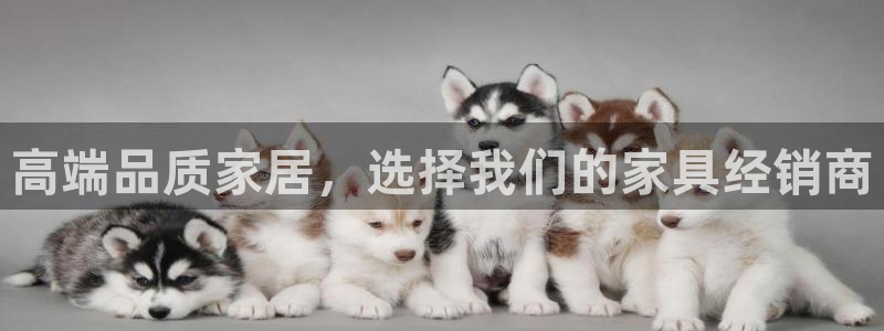 先锋娱乐