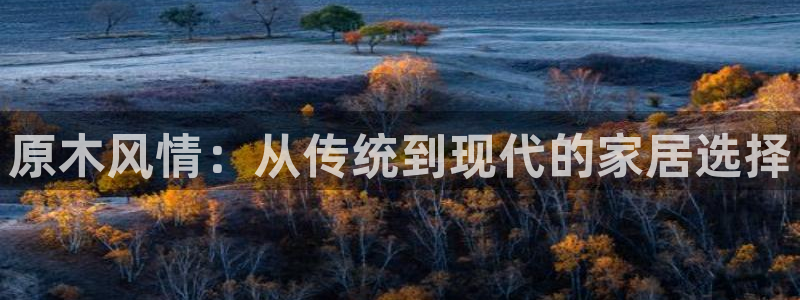 先锋互动娱乐