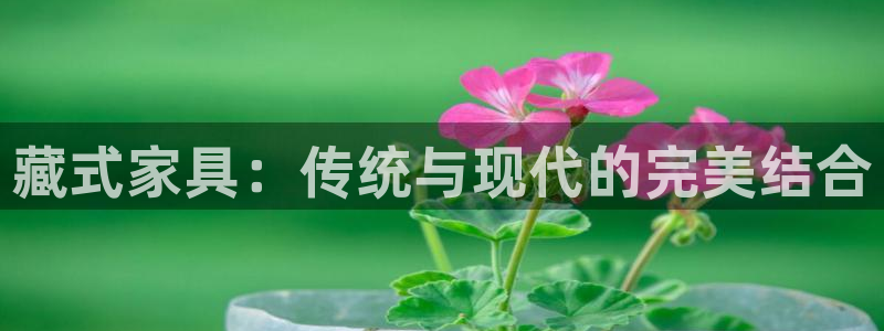 亚洲先锋娱乐跌