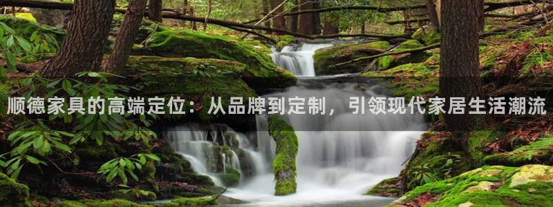 先锋娱乐管理集团