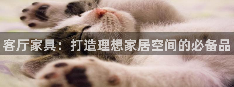 亚洲先锋娱乐招股