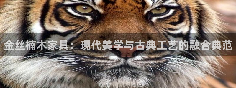 先锋银河娱乐