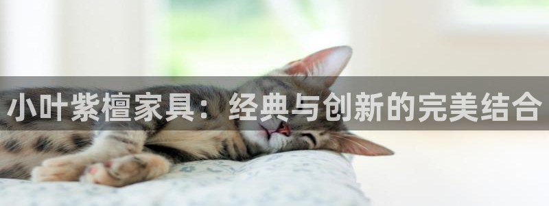 先锋娱乐资讯官网入口