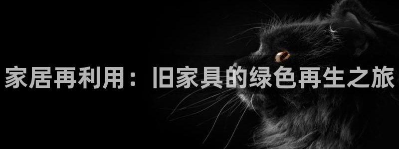 时代先锋娱乐