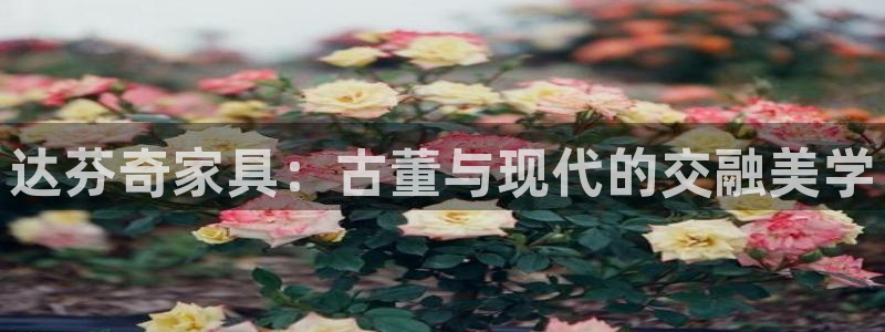 先锋娱乐电话