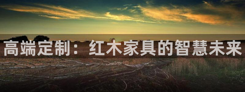 先锋支付娱乐城