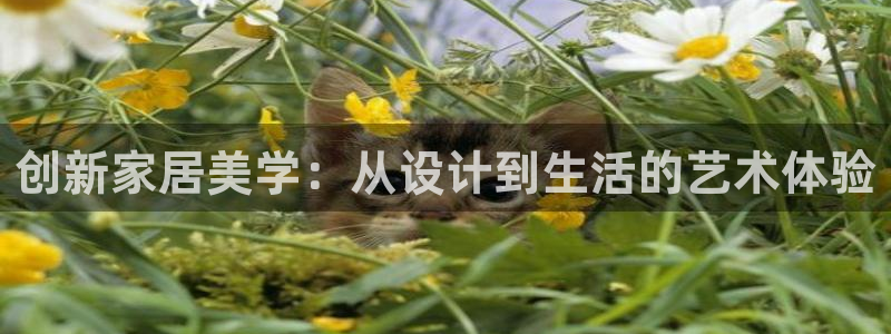 先锋澳门新娱乐