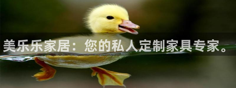 先锋娱乐在线