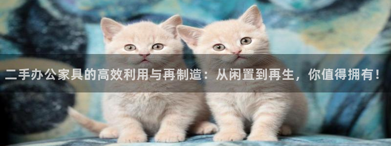 先锋娱乐币