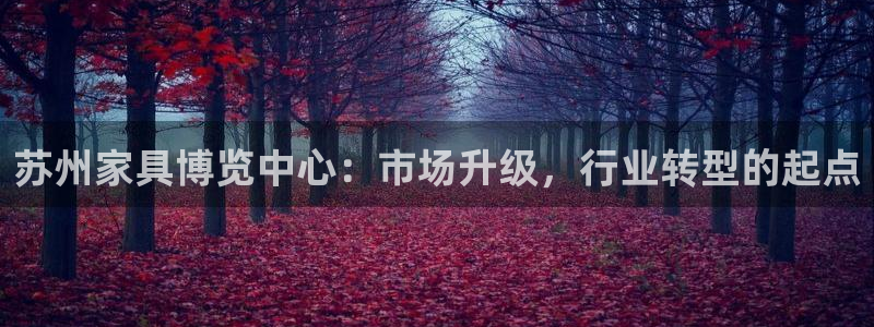 先锋娱乐公司