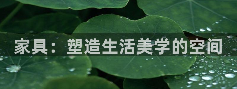 先锋娱乐汇