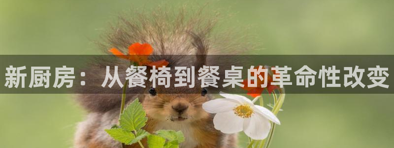 亚洲先锋娱乐跌
