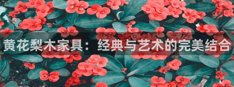 先锋娱乐官网