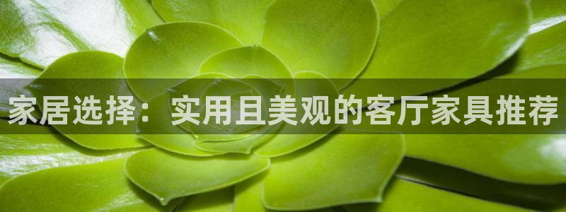 先锋娱乐链接