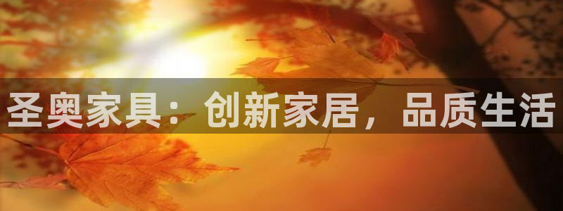 亚洲先锋娱乐行情：圣奥家具：创新家居，品质生活