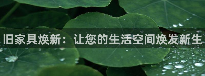 先锋电子旗下先锋娱乐