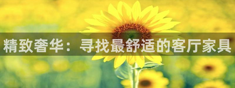 澳门先锋娱乐：精致奢华：寻找最舒适的客厅家具