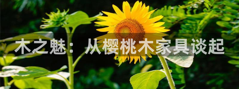 先锋娱乐游戏上分网址