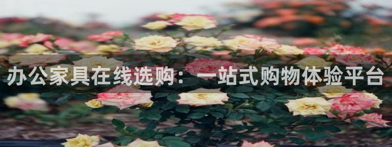 先锋娱乐系统