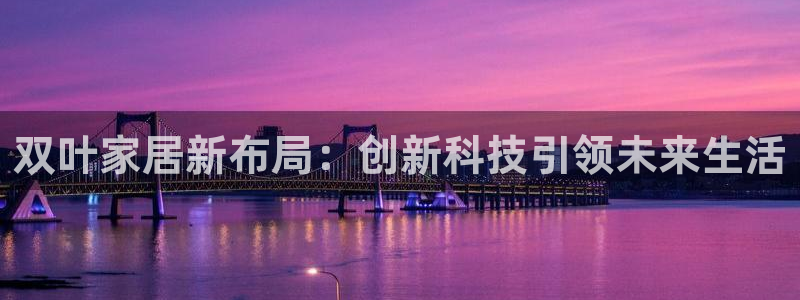 先锋娱乐系统：双叶家居新布局：创新科技引领未来生活
