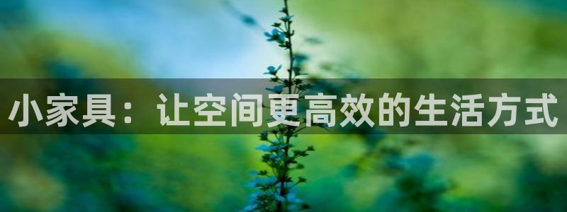 先锋娱乐中国