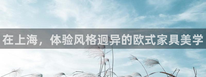 先锋互动娱乐：在上海，体验风格迥异的欧式家具美学