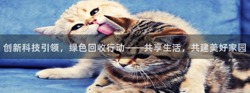 亚洲先锋娱乐登录：创新科技引领，绿色回收行动——共享生活，共