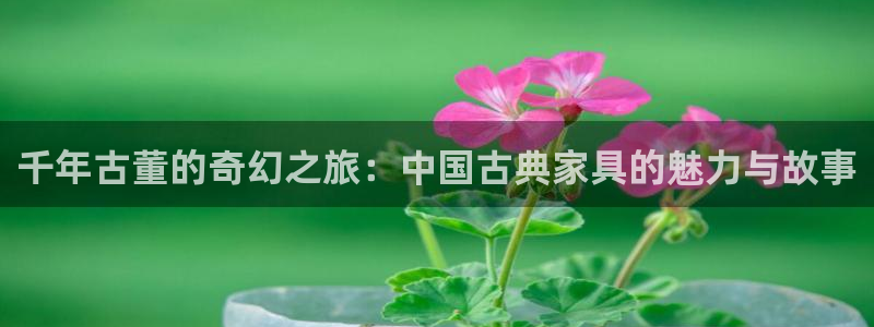 先锋娱乐上分：千年古董的奇幻之旅：中国古典家具的魅力与故事