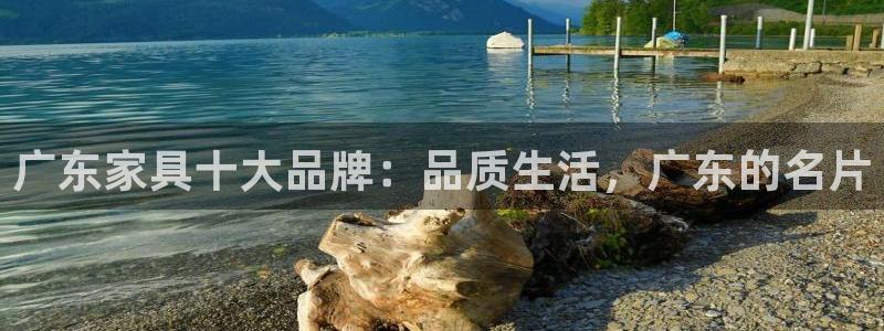 亚洲先锋娱乐招股：广东家具十大品牌：品质生活，广东的名片