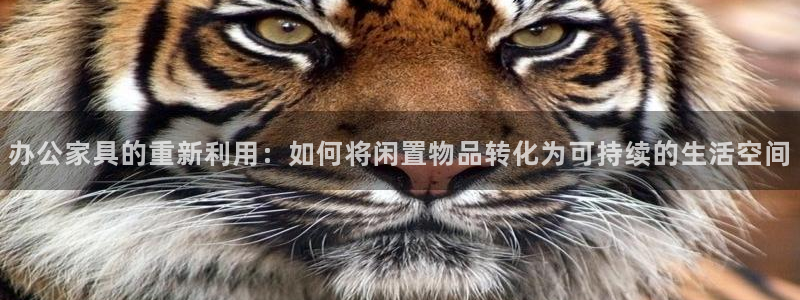 先锋娱乐网：办公家具的重新利用：如何将闲置物品转化为可持续的