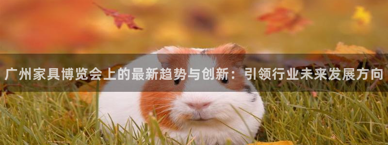 先锋娱乐体育
