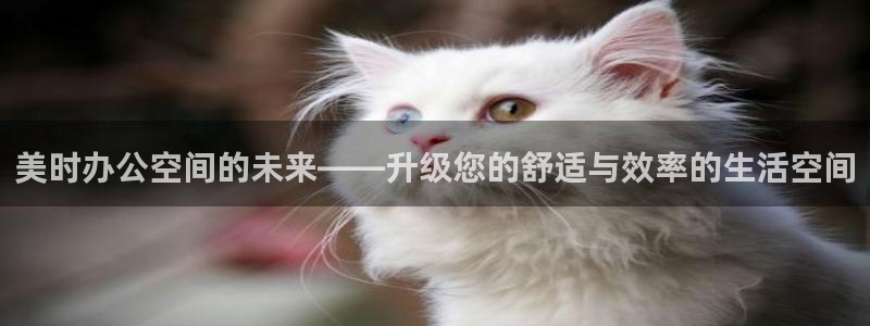 先锋岛娱乐：美时办公空间的未来——升级您的舒适与效率的生活空