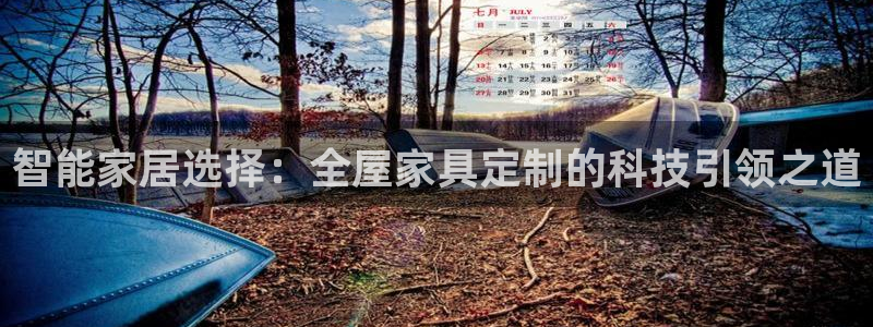 先锋支付娱乐城：智能家居选择：全屋家具定制的科技引领之道