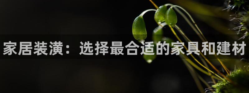 先锋娱乐游戏上分网址