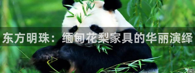 先锋娱乐邀请码多少