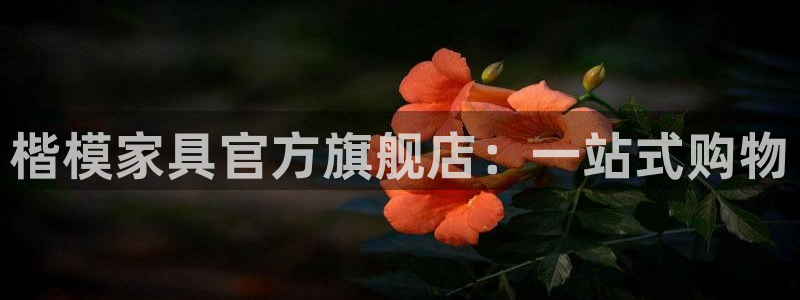 先锋娱乐客服中心：楷模家具官方旗舰店：一站式购物
