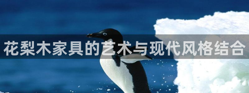 先锋娱乐快讯
