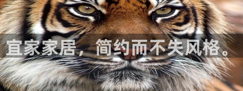 先锋娱乐热点