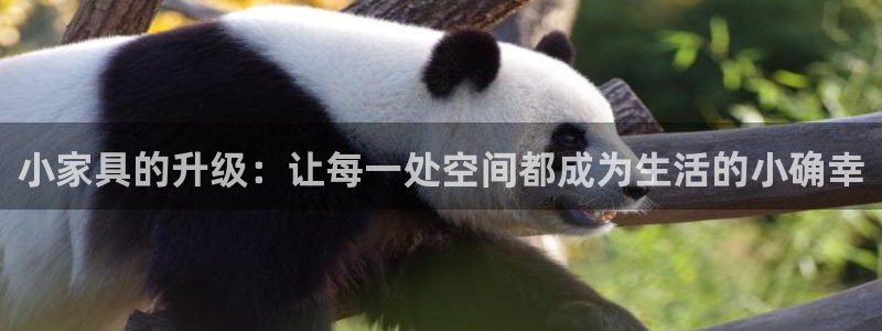 先锋娱乐系统